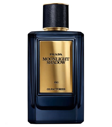 Prada Moonlight Shadow 